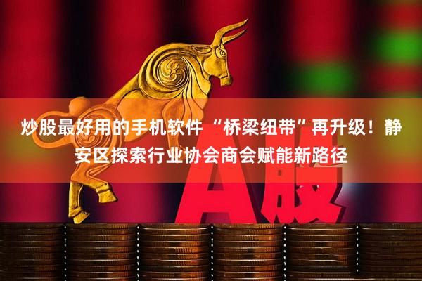 炒股最好用的手机软件 “桥梁纽带”再升级！静安区探索行业协会商会赋能新路径