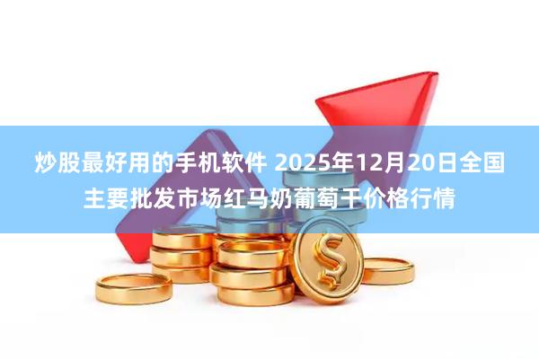 炒股最好用的手机软件 2025年12月20日全国主要批发市场红马奶葡萄干价格行情