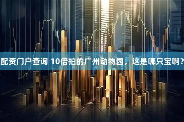 配资门户查询 10倍拍的广州动物园，这是哪只宝啊？